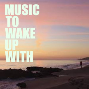 Listen to Roarin' song with lyrics from Red Price