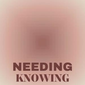 Album Needing Knowing from Various