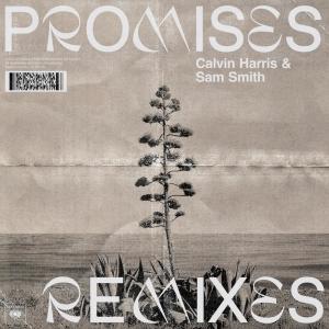 收聽Calvin Harris的Promises (Franky Rizardo Remix) (Franky Rizardo Extended Remix)歌詞歌曲