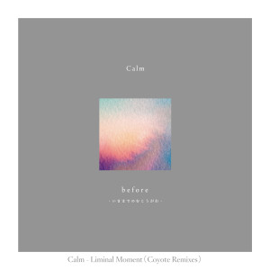 收聽Calm的Liminal Moment (Coyote Dream Mix)歌詞歌曲