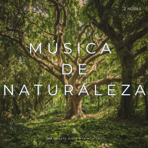 Música De Naturaleza: Una Fogata Junto A La Montaña - 2 Horas