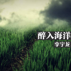 ดาวน์โหลดและฟังเพลง 醉入海洋 พร้อมเนื้อเพลงจาก 李宇龙