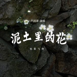 Album 泥土里的花 (也要飞翔) from 卢润泽