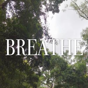 Listen to Breathe song with lyrics from Jovi霏儿