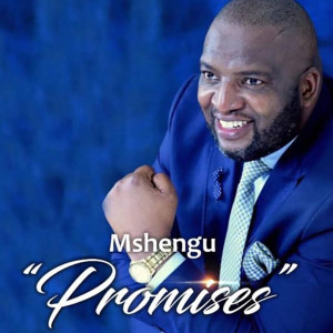 Listen to Promises song with lyrics from Mshengu