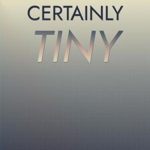 ดาวน์โหลดและฟังเพลง Certainly Tiny พร้อมเนื้อเพลงจาก Jeta Brok