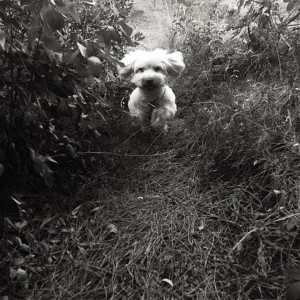 ดาวน์โหลดและฟังเพลง Puzzle พร้อมเนื้อเพลงจาก Mendra