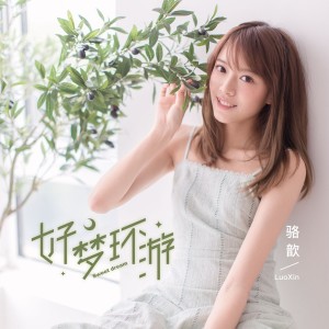 收听骆歆的好梦环游 (伴奏)歌词歌曲