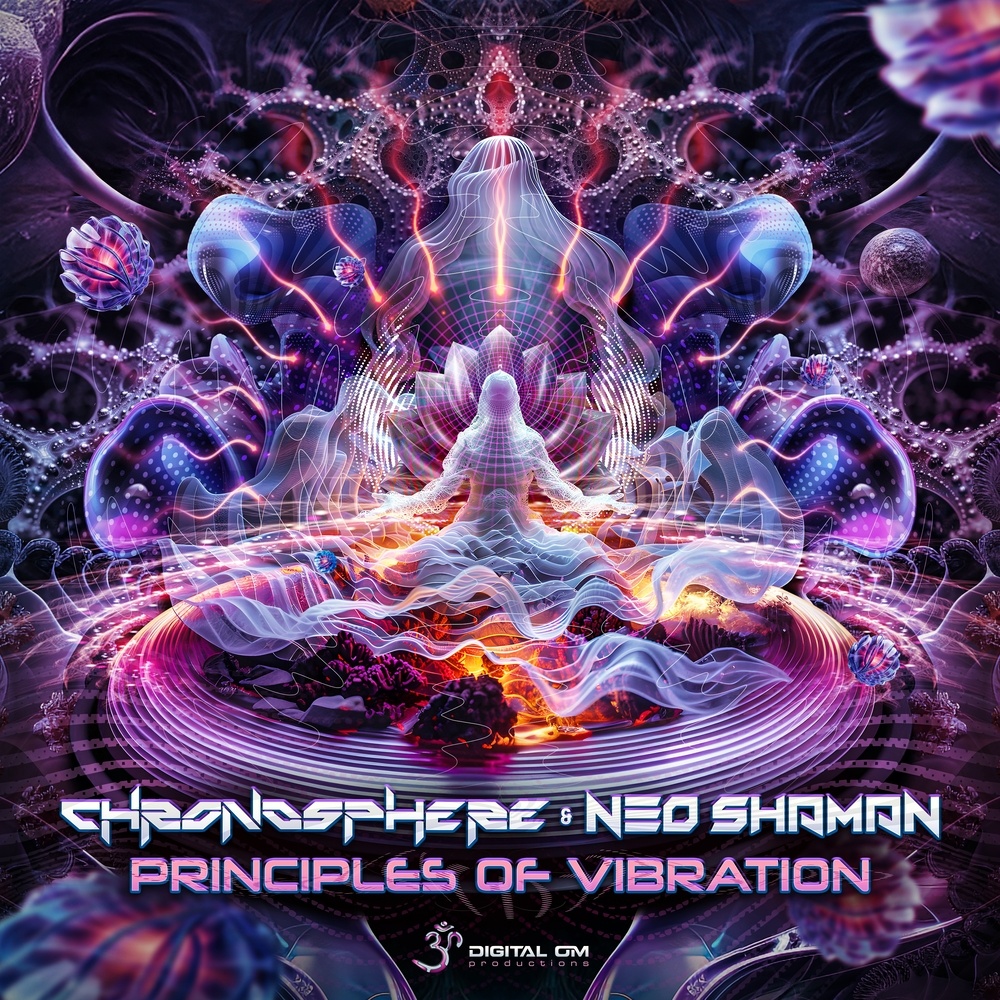 Principles of Vibration (Original Mix)