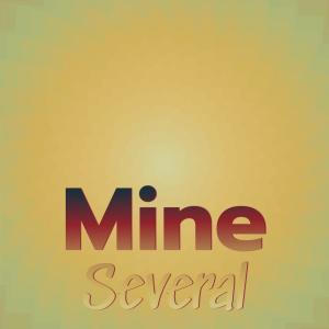 Listen to Mine Several song with lyrics from Princy Bolo