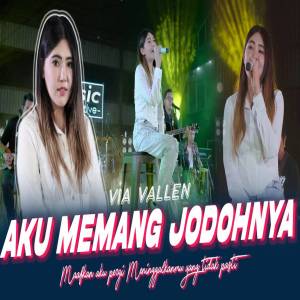 Listen to Aku Memang Jodohnya song with lyrics from Via Vallen