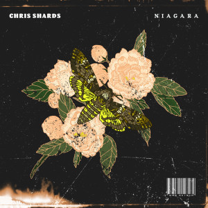 Dengarkan The Brew lagu dari Chris Shards dengan lirik