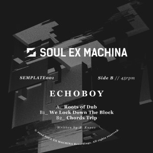 Album Roots Of Dub from Echoboy