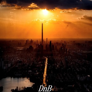 อัลบัม DNB ศิลปิน 