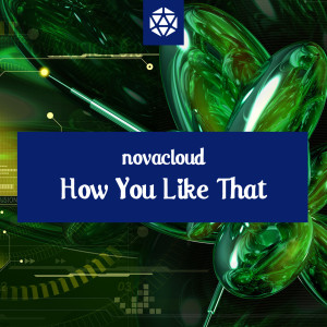 Dengarkan How You Like That (Reggae Edit) lagu dari Novacloud dengan lirik