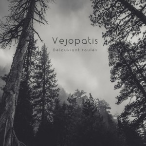 ดาวน์โหลดและฟังเพลง Sielu vainikai พร้อมเนื้อเพลงจาก Vejopatis