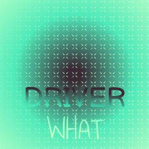 Listen to Driver What song with lyrics from Bego Phile