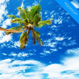 Album New age piano collection resembling clear sky from Various Artists