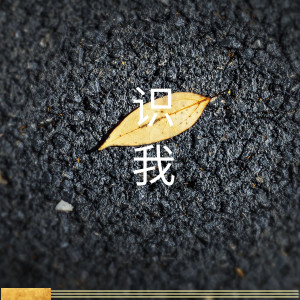 Album 识我 from 鞪硶