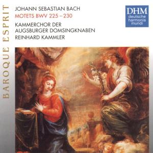ดาวน์โหลดและฟังเพลง Komm, Jesu, komm, BWV 229: Komm, Jesu, komm พร้อมเนื้อเพลงจาก Kammerchor der Augsburger Domsingknaben
