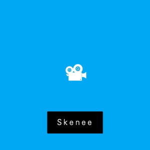Album Skenee from Stanko