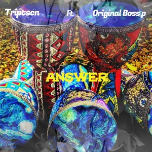 Triptsen的專輯Answer
