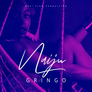 Listen to Gringo (French Version) song with lyrics from NAIJU