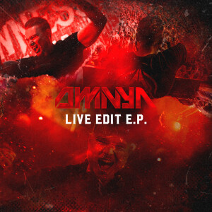 Listen to Make Them Pay (Live Edit) song with lyrics from Omnya