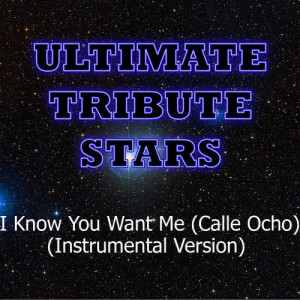 ดาวน์โหลดและฟังเพลง Pitbull - I Know You Want Me (Calle Ocho) (Instrumental Version) พร้อมเนื้อเพลงจาก Ultimate Tribute Stars