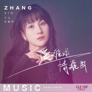 收听张鑫雨的爱难求情难断 (DJ版)歌词歌曲