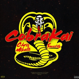 Listen to Cobra Kai Freestyle (Explicit) song with lyrics from Chris Mikels