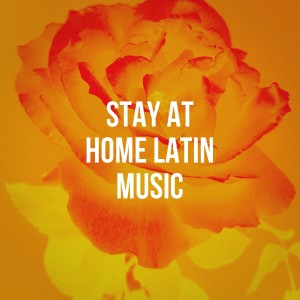 收听Luis Pizarro Cerrón的America Latina歌词歌曲