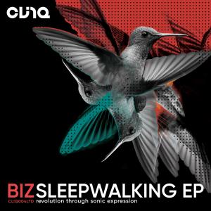 Album Sleep Walking from BIZ