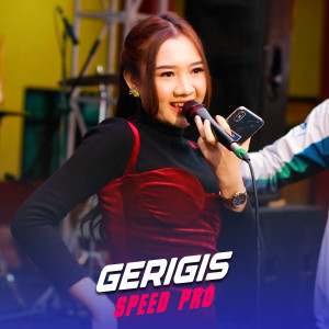 Speed Pro的专辑Gerigis