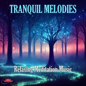 Relaxing Meditation Music的專輯Tranquil Melodies