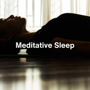 Listen to Meditative Ambient Piano (Relaxing Ambient Music) song with lyrics from DreamSound