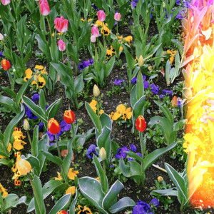 收聽Rose May的I'm Sorry歌詞歌曲