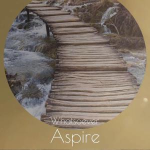 Listen to Whatsoever Aspire song with lyrics from Altina Aury