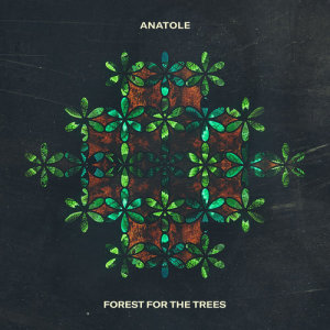 อัลบัม Forest For The Trees ศิลปิน Anatole