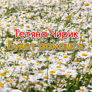 Album Букет ромашок from Тетяна Чирик