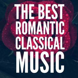 收听Classical的No.5 The Day I Met Her歌词歌曲