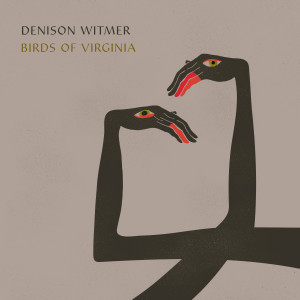 Denison Witmer的專輯Birds of Virginia (Simplified Mix)