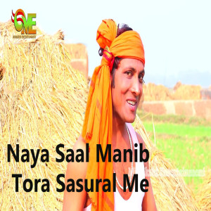 Album Naya Saal Manib Tora Sasural Me from Vishwanath Anand