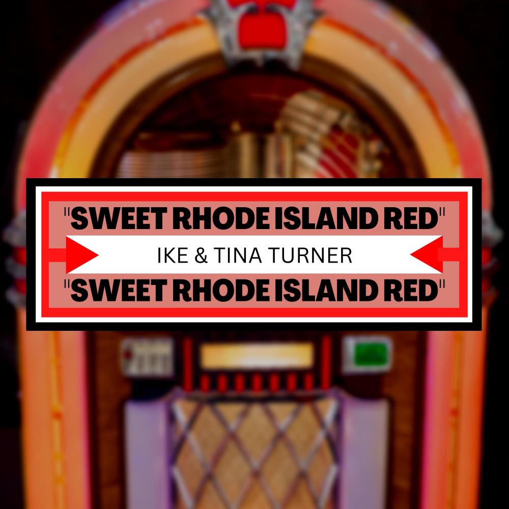 Sweet Rhode Island Red