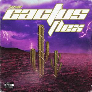 收聽Kingz的CACTUS FLEX (Explicit)歌詞歌曲