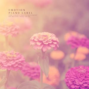 ดาวน์โหลดและฟังเพลง I'll release it now. พร้อมเนื้อเพลงจาก Glass Tree