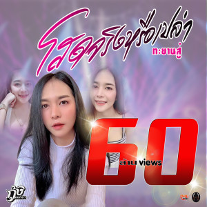 อัลบัม โสดจริงหรือเปล่า - Single ศิลปิน กุ้ง นนทิยา