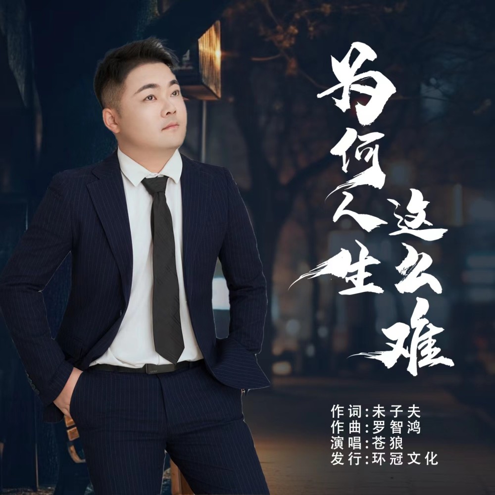 为何人生这么难（DJ彭锐版） (伴奏)