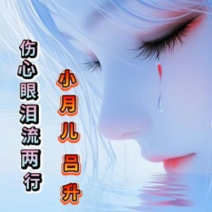 Album 伤心眼泪流两行 from 落曦