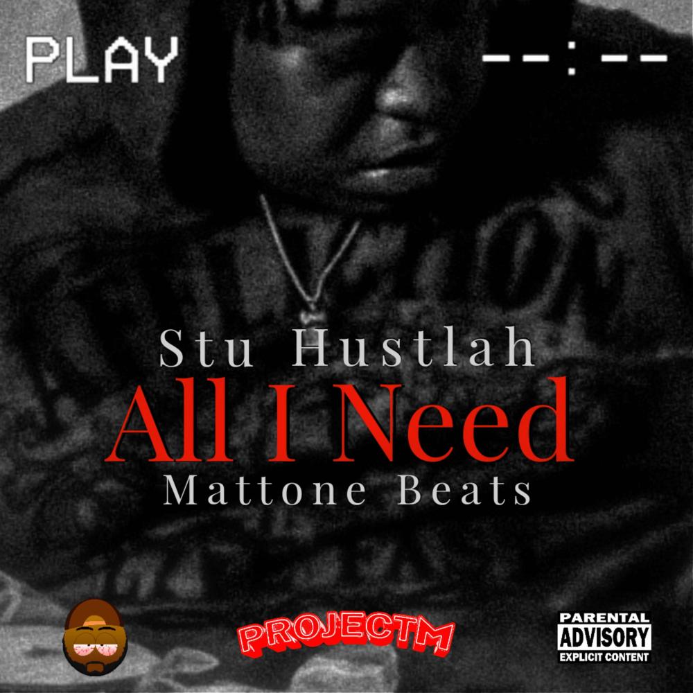 All I Need (feat. Stu Hustlah) (Explicit)